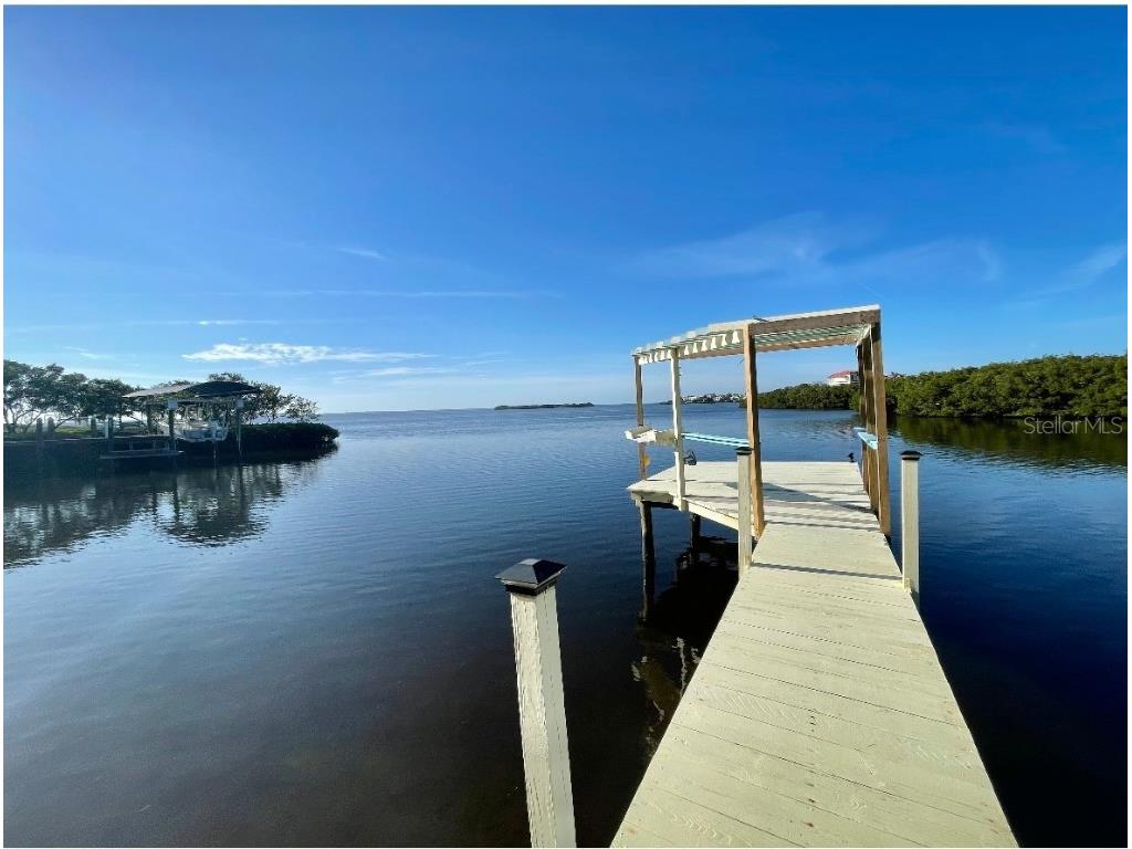 1624 Sea Breeze Drive Tarpon Springs FL 34689 - GULF OF MEXICO/AMERICA W7871997 image4