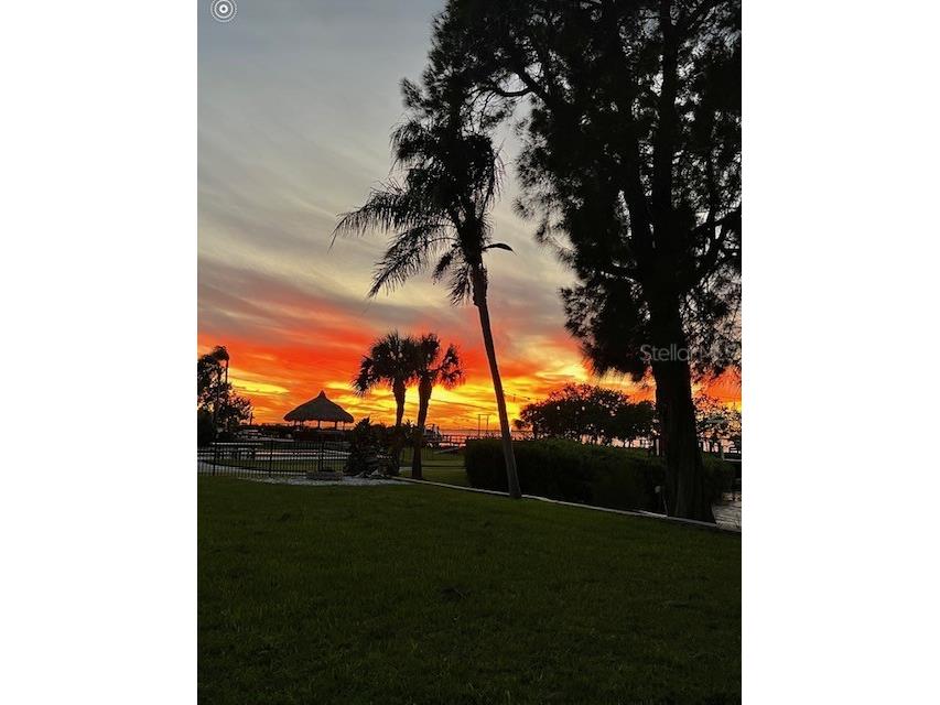 1624 Sea Breeze Drive Tarpon Springs FL 34689 - GULF OF MEXICO/AMERICA W7871997 image7