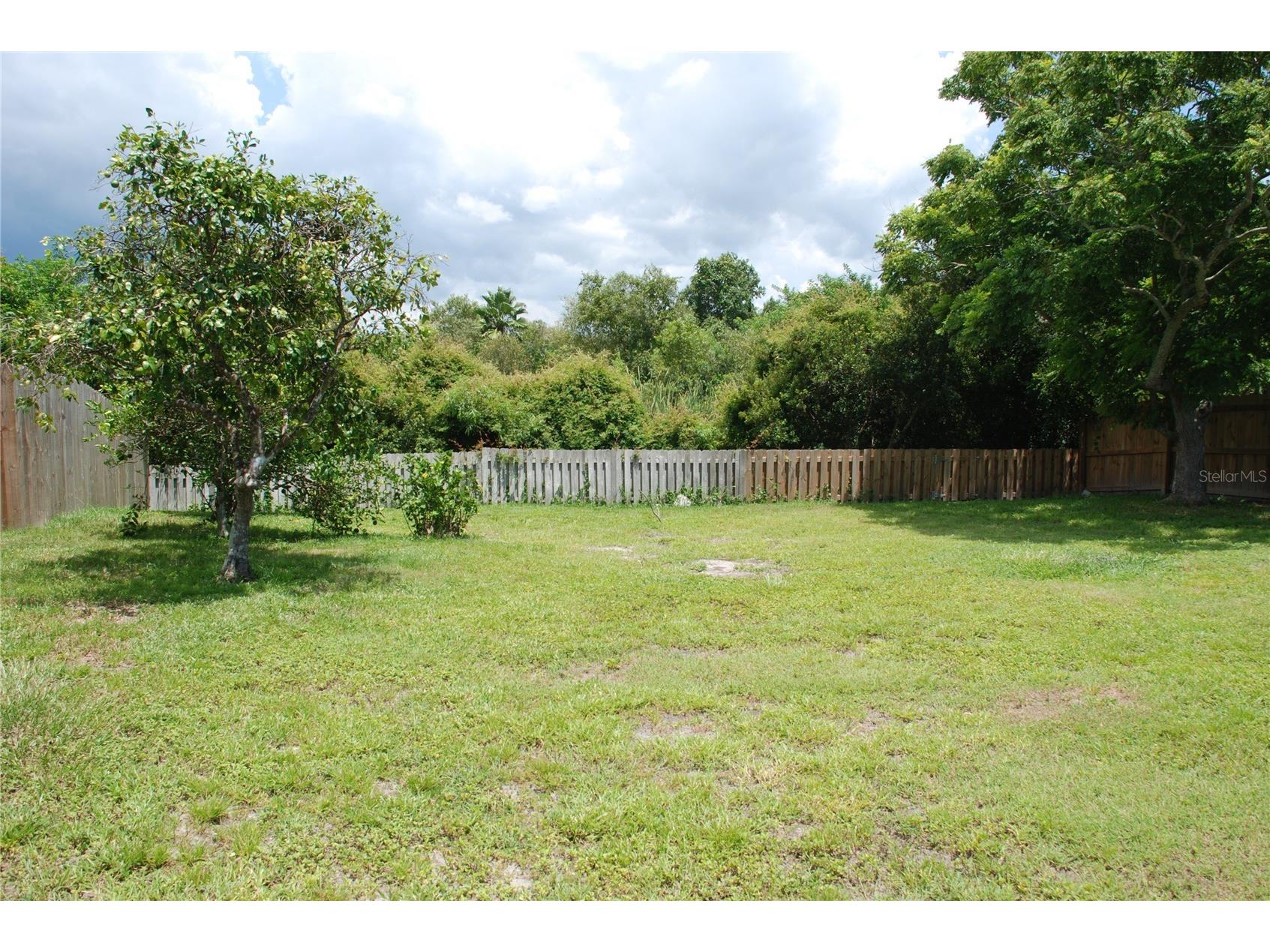 1624 Springdale Drive Holiday FL 34691 TB8509971 image4