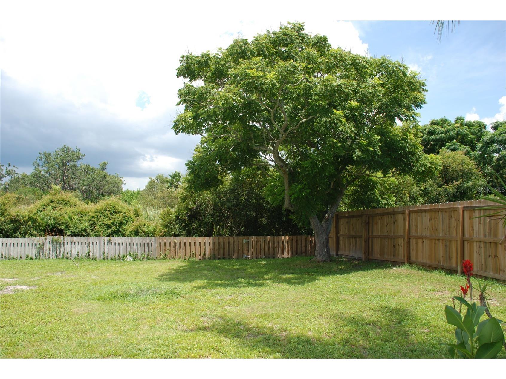 1624 Springdale Drive Holiday FL 34691 TB8509971 image7