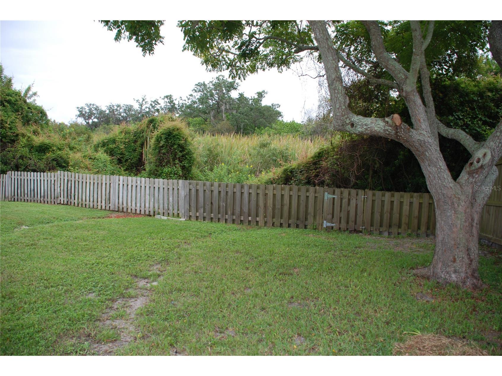 1624 Springdale Drive Holiday FL 34691 TB8509971 image8