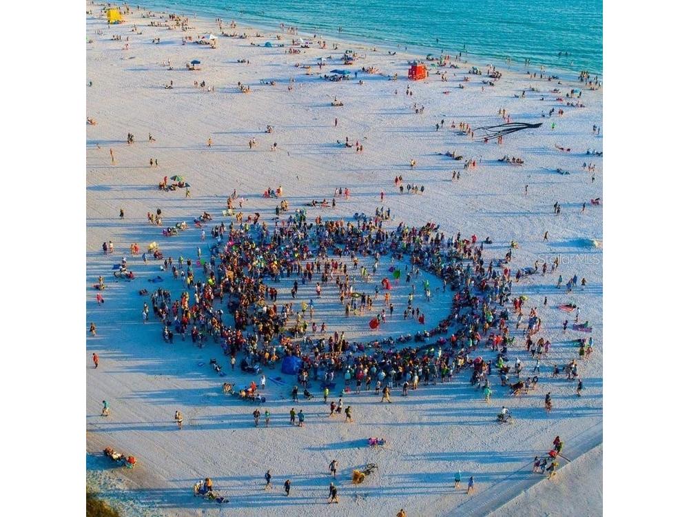 1624 Stickney Point Road #1624-301 Sarasota FL 34231 - LITTLE SARASOTA BAY A4676856 image52