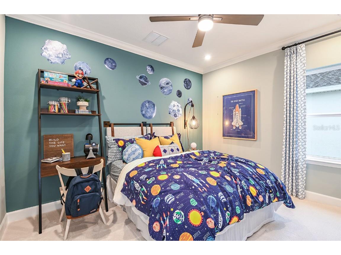 16240 Alpha Grove Place Odessa FL 33556 TB8312100 image27