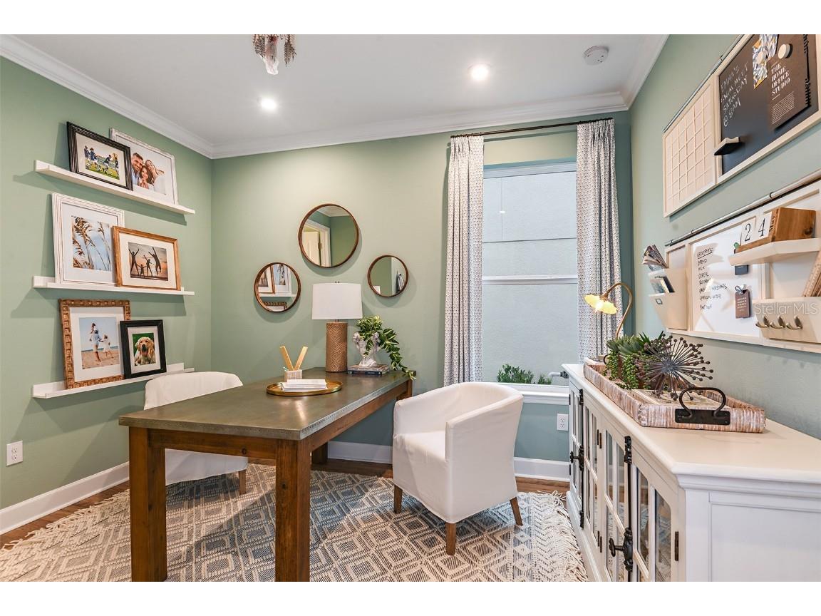 16240 Alpha Grove Place Odessa FL 33556 TB8312100 image33