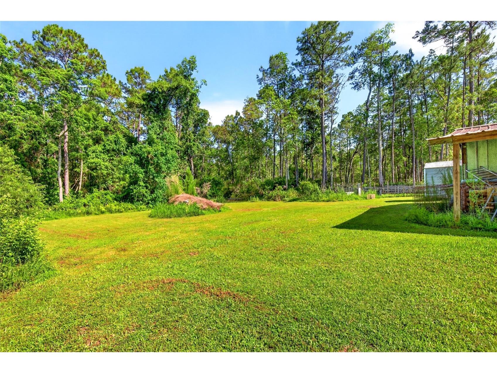 16240 NE 141st Terrace Fort Mc Coy FL 32134 OM726195 image22
