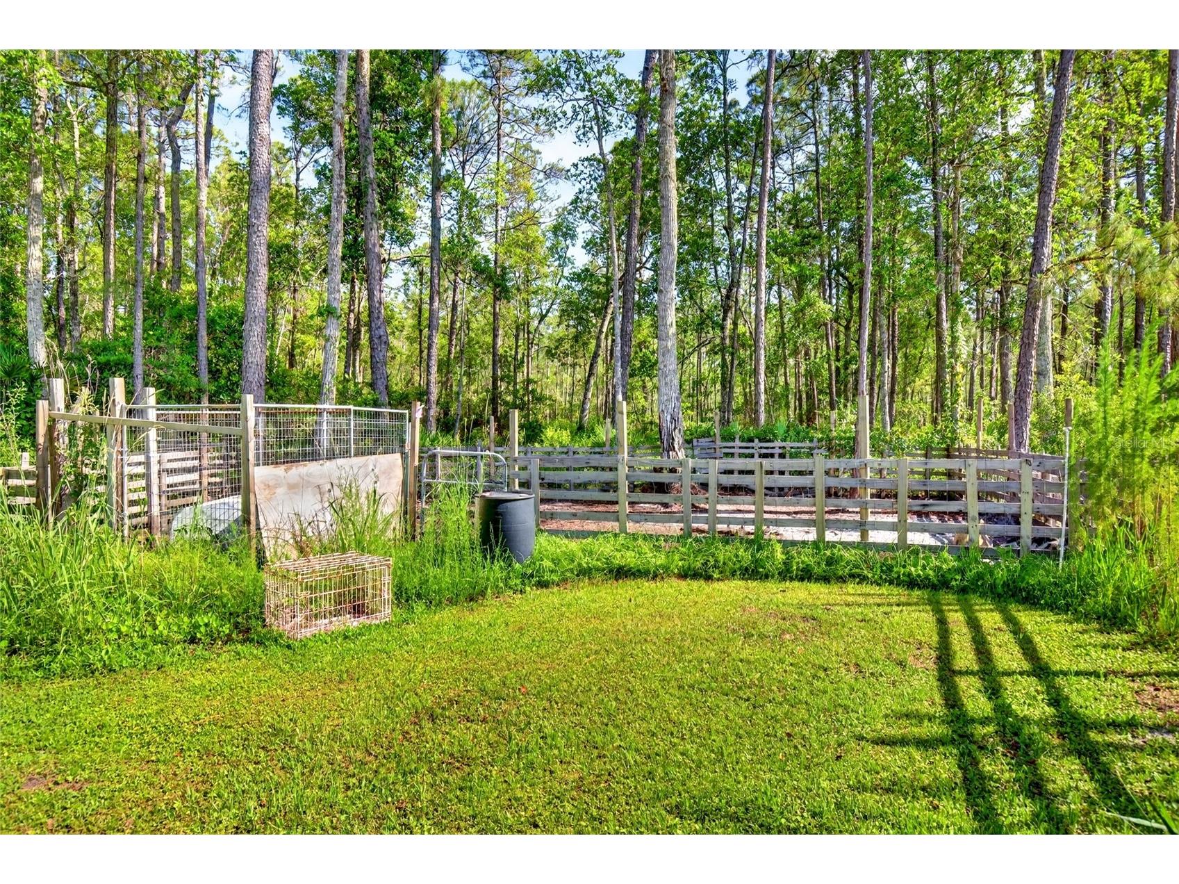 16240 NE 141st Terrace Fort Mc Coy FL 32134 OM726195 image23