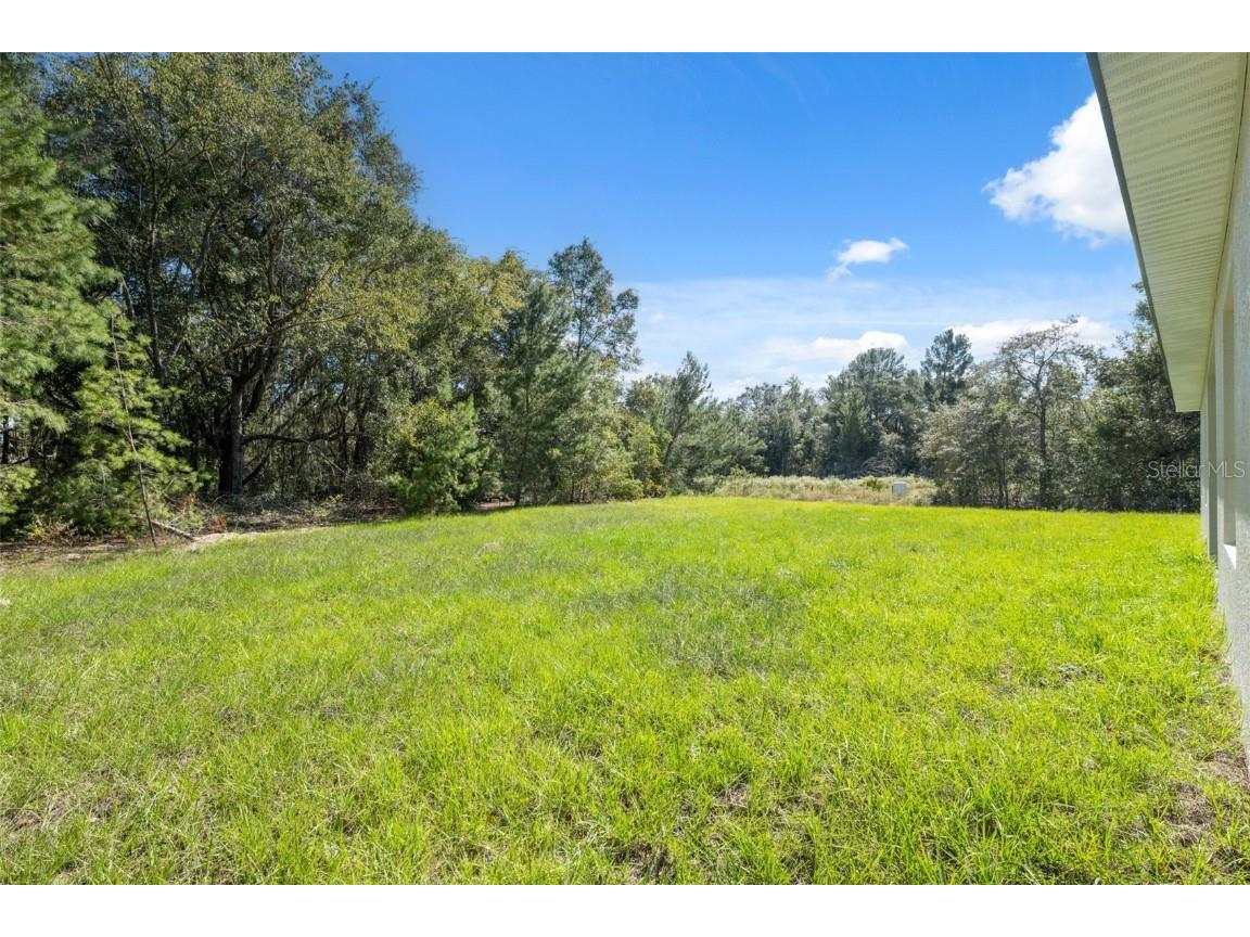 16241 SW 23rd Court Road Ocala FL 34473 O6354916 image34