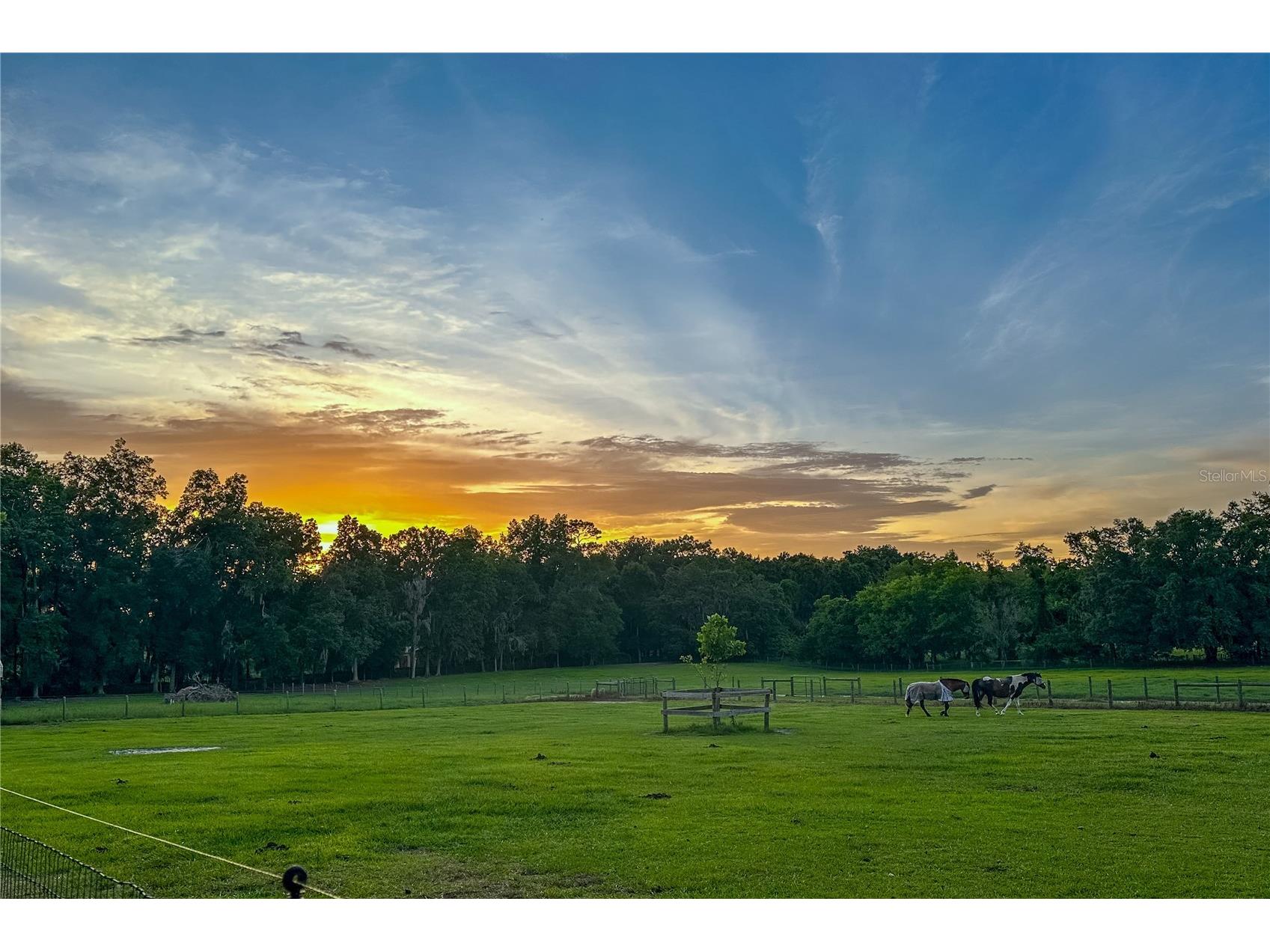 16242 NW 130th Street Williston FL 32696 GC538121 image16