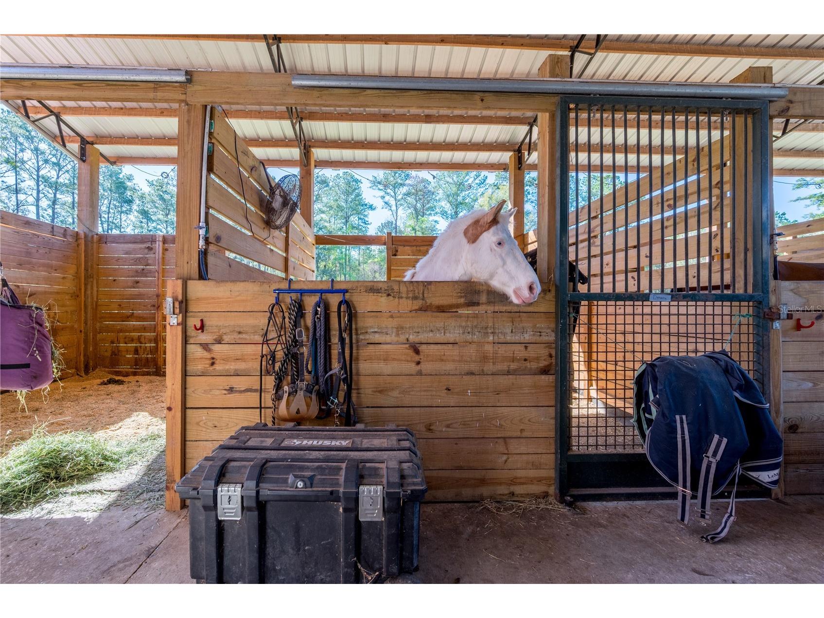 16242 NW 130th Street Williston FL 32696 GC538121 image21
