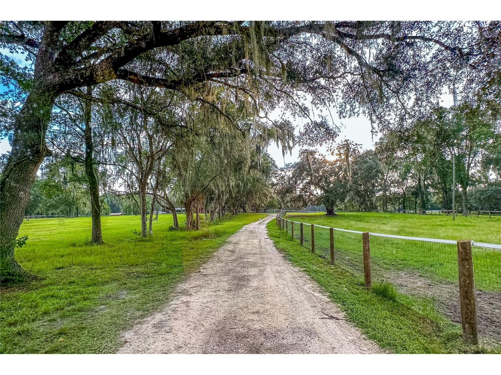 16242 NW 130th Street Williston FL 32696 GC538121 image6