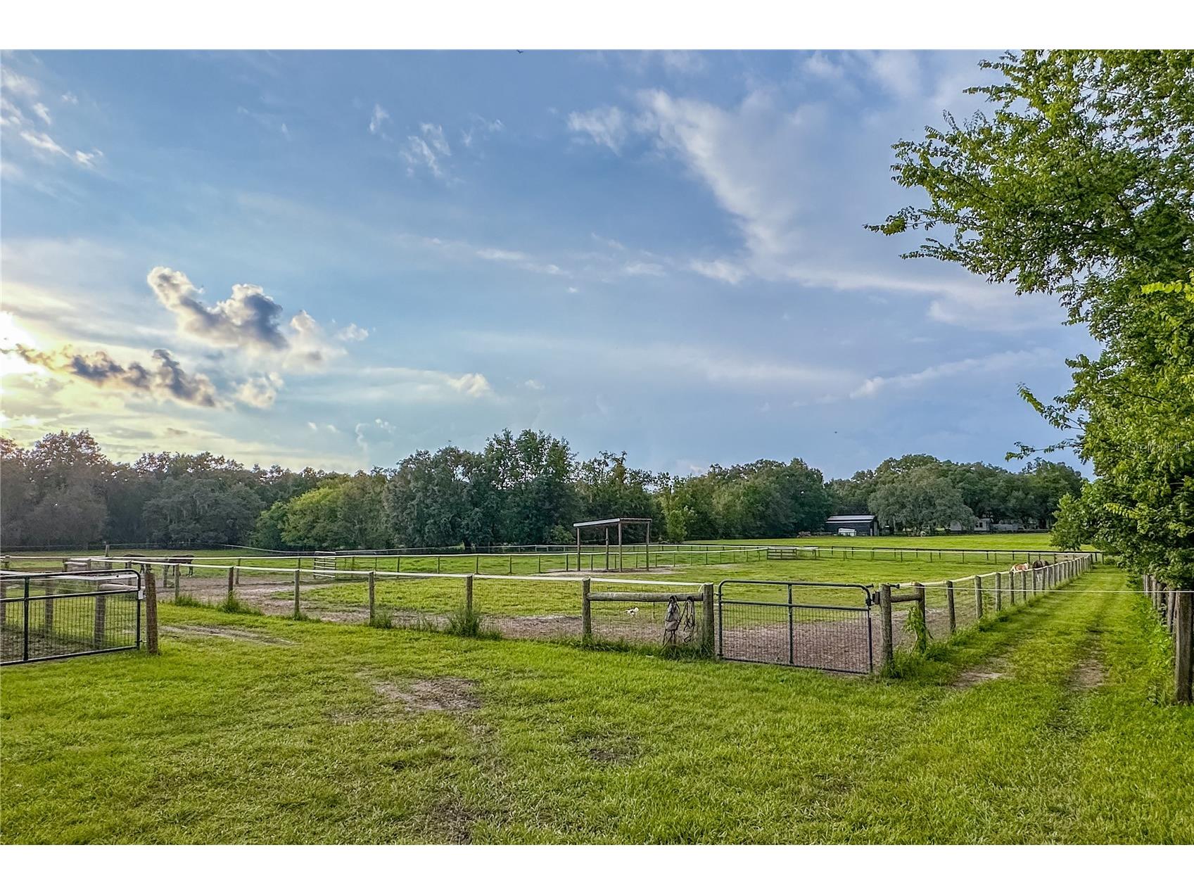16242 NW 130th Street Williston FL 32696 GC538121 image7