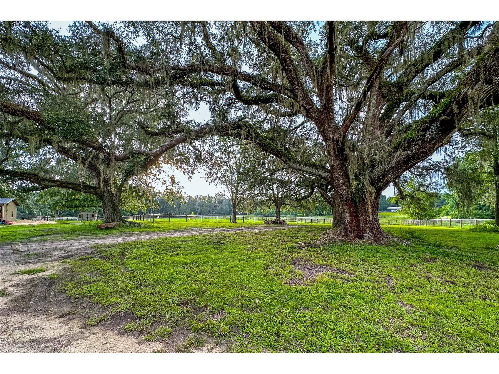 16242 NW 130th Street Williston FL 32696 GC538121 image8