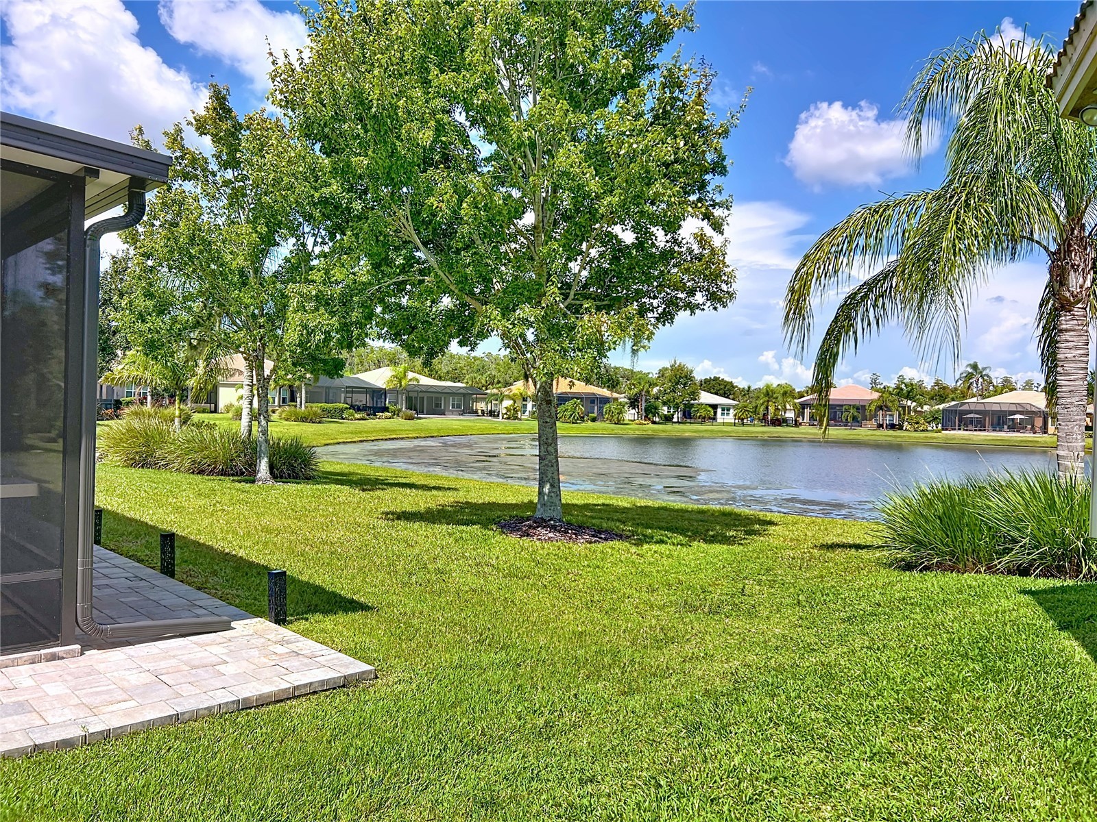 16244 Diamond Bay Drive Wimauma FL 33598 TB8420306 image50