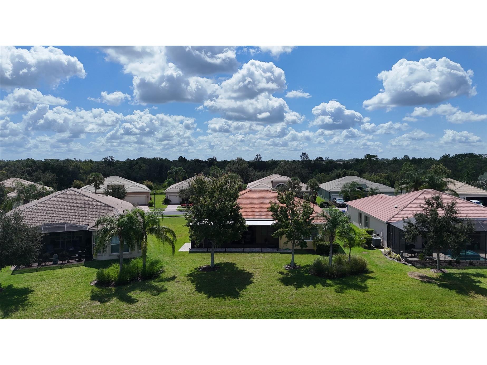 16244 Diamond Bay Drive Wimauma FL 33598 TB8420306 image57