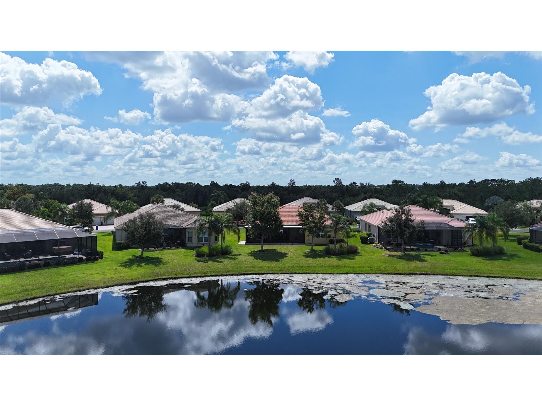 16244 Diamond Bay Drive Wimauma FL 33598 TB8420306 image58