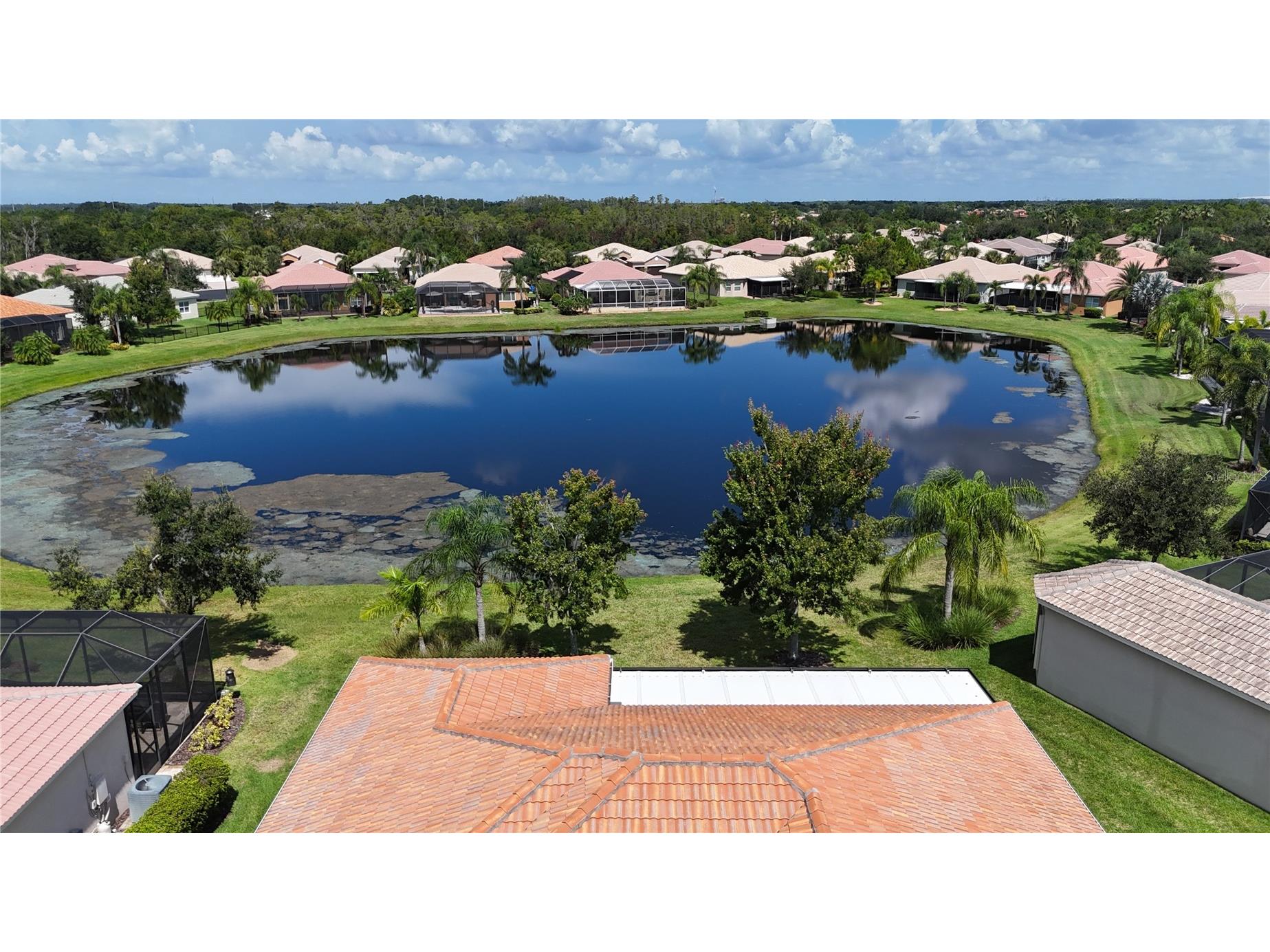 16244 Diamond Bay Drive Wimauma FL 33598 TB8420306 image59