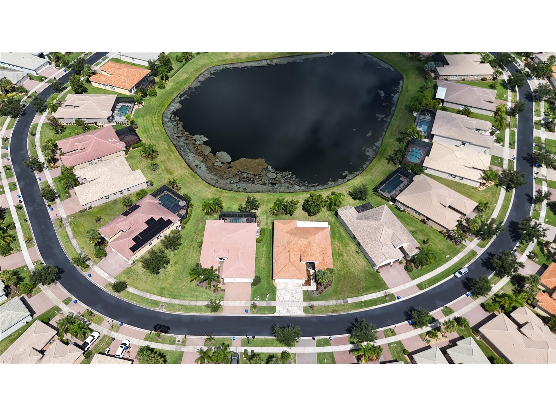 16244 Diamond Bay Drive Wimauma FL 33598 TB8420306 image60