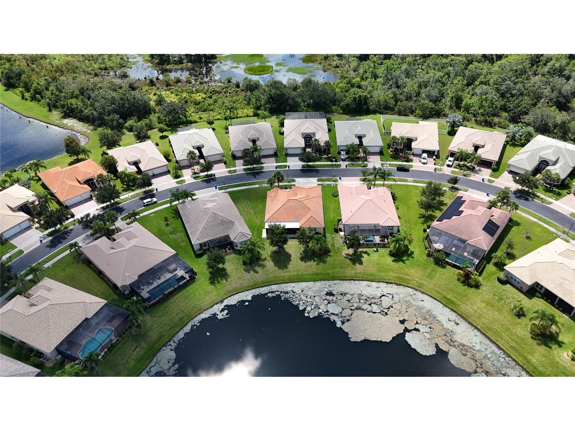 16244 Diamond Bay Drive Wimauma FL 33598 TB8420306 image61