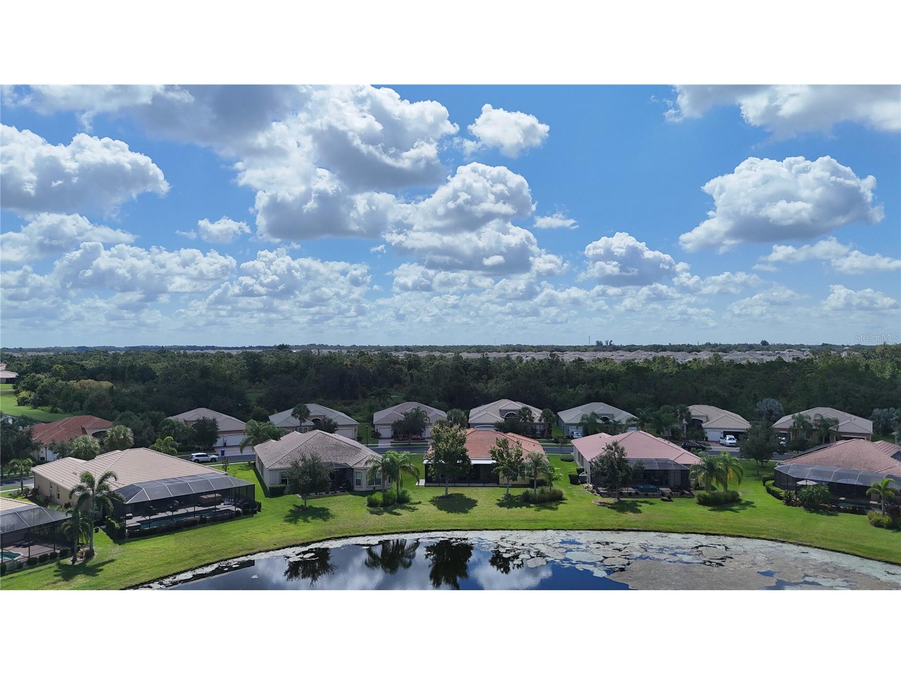 16244 Diamond Bay Drive Wimauma FL 33598 TB8420306 image62