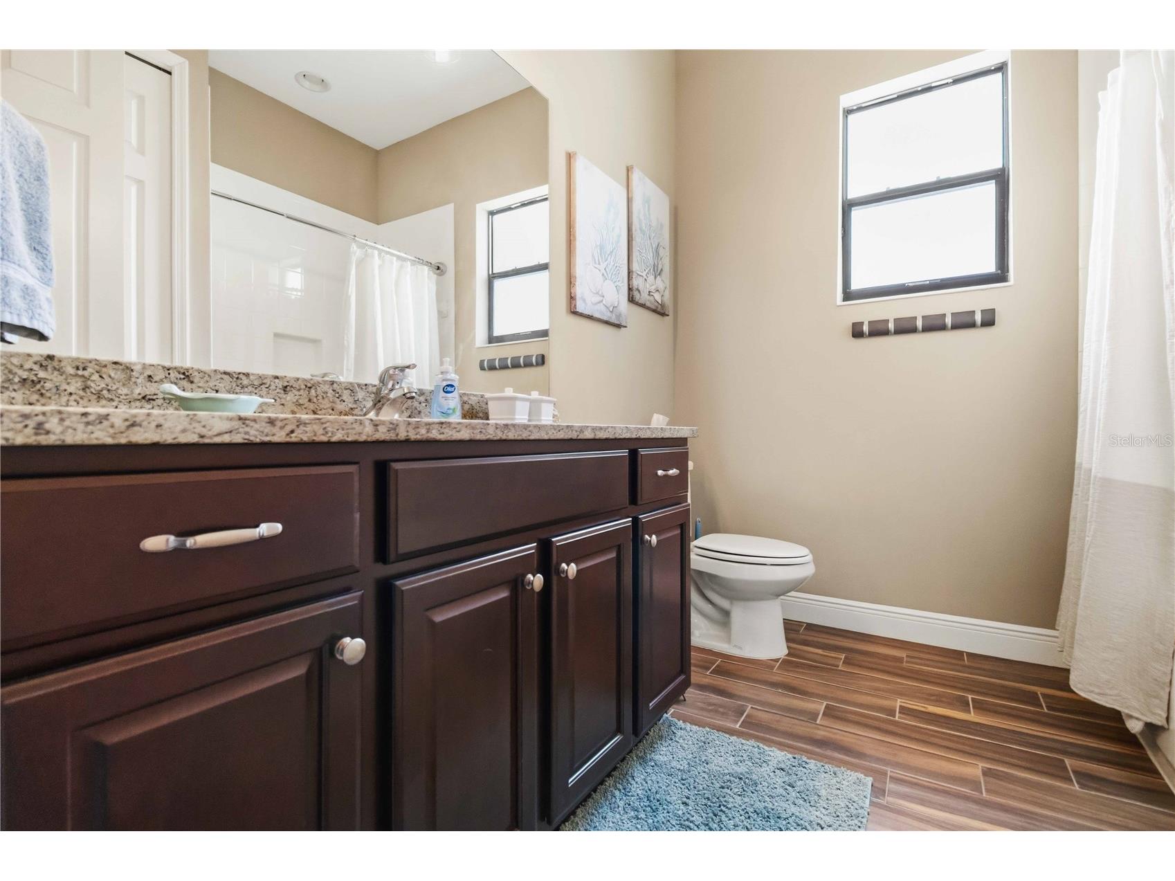 16246 26th Street E Parrish FL 34219 - LITTLE MANATEE RIVER A4693166 image33