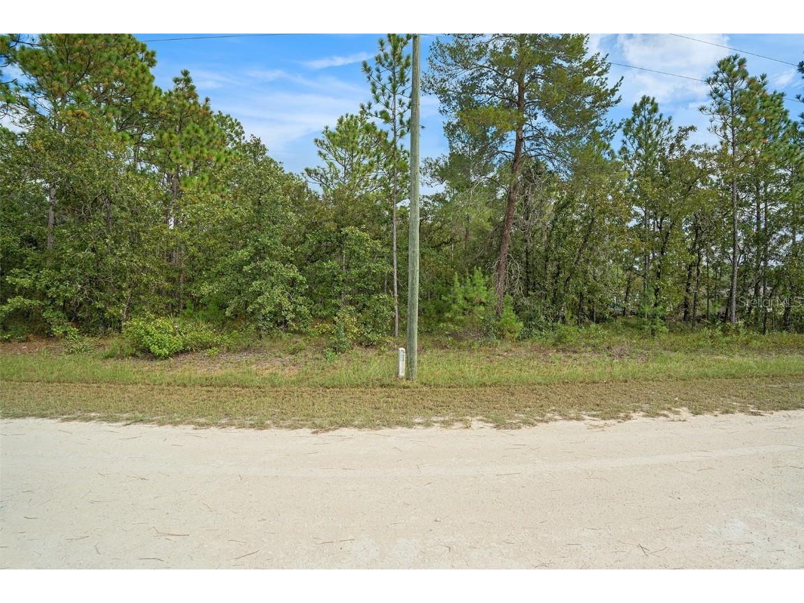 16246 Malden Road Brooksville FL 34614 TB8432019 image1