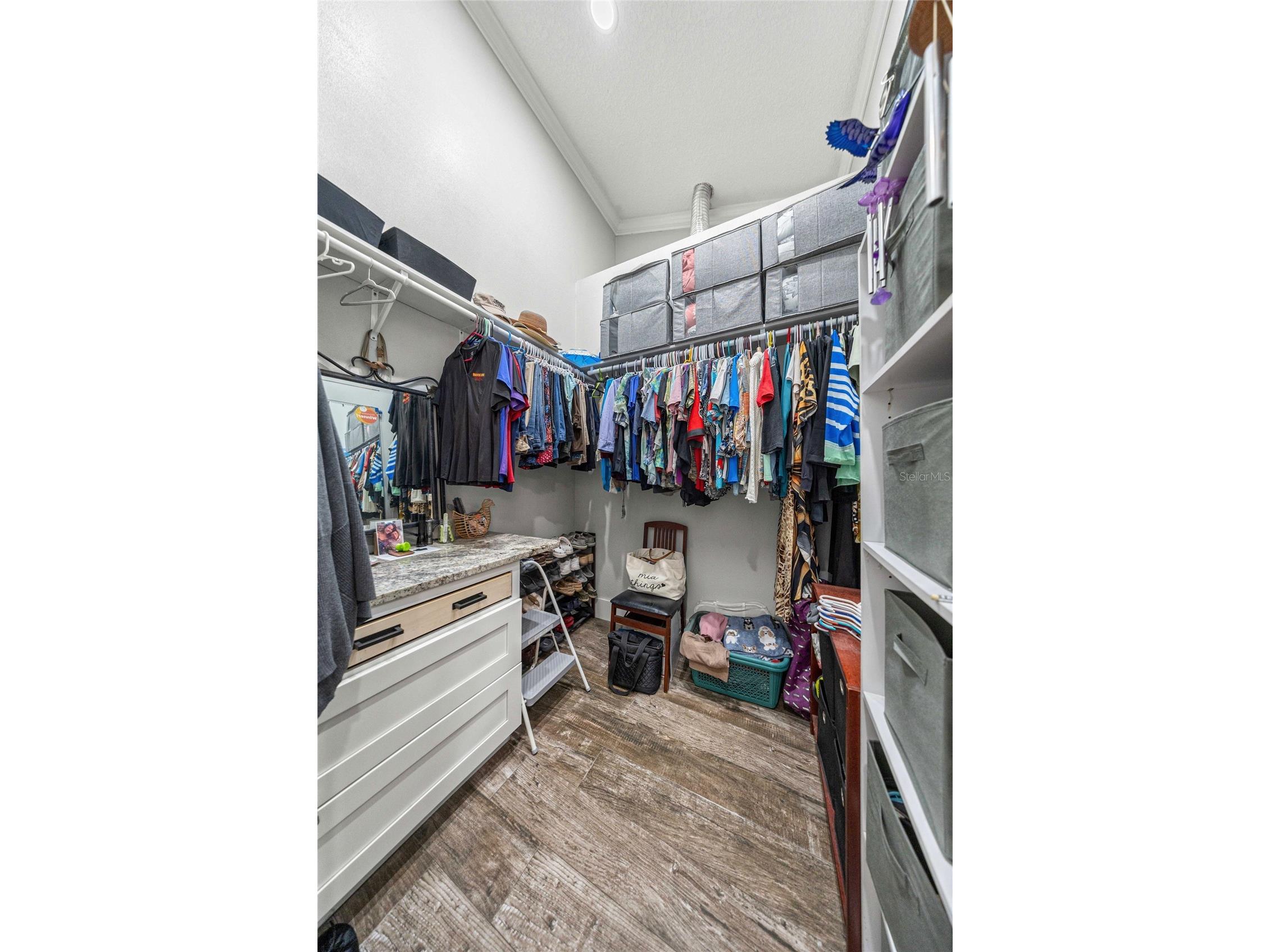 16248 SE Highway 42 Weirsdale FL 32195 O6406728 image20
