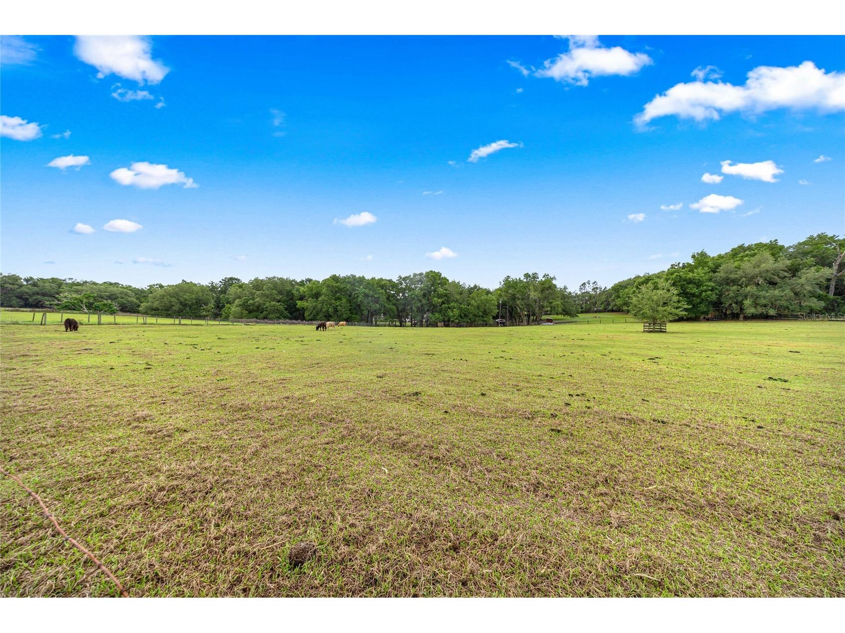 16248 SE Highway 42 Weirsdale FL 32195 O6406728 image35