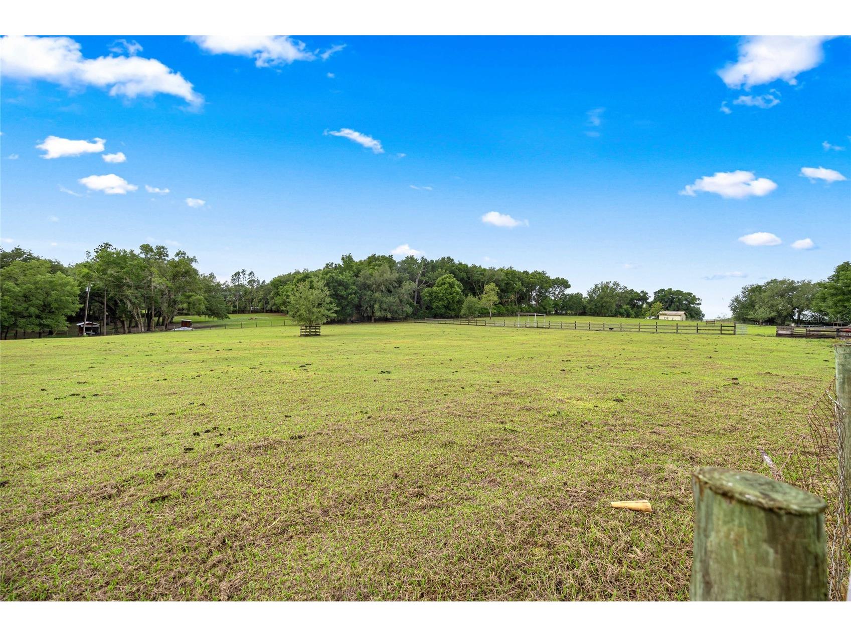 16248 SE Highway 42 Weirsdale FL 32195 O6406728 image36