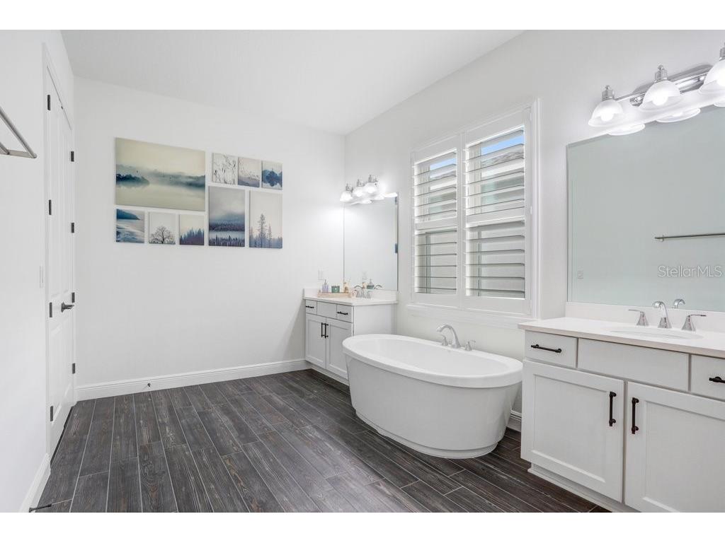 16247 November Rain Court Land O Lakes FL 34638 TB8496583 image23