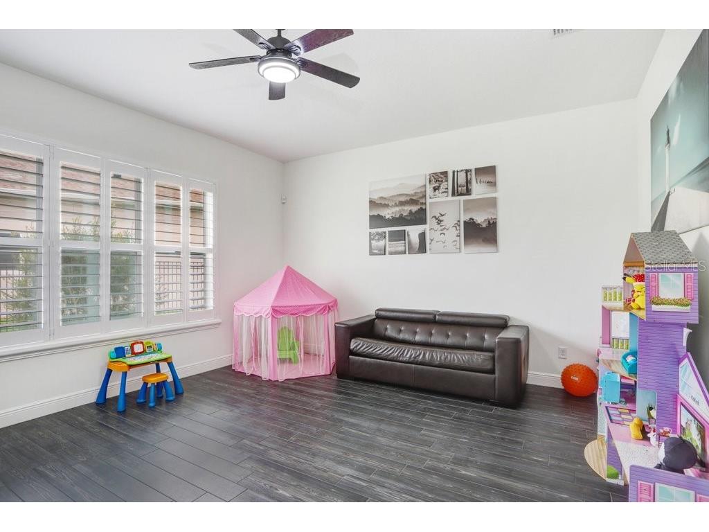 16247 November Rain Court Land O Lakes FL 34638 TB8496583 image25