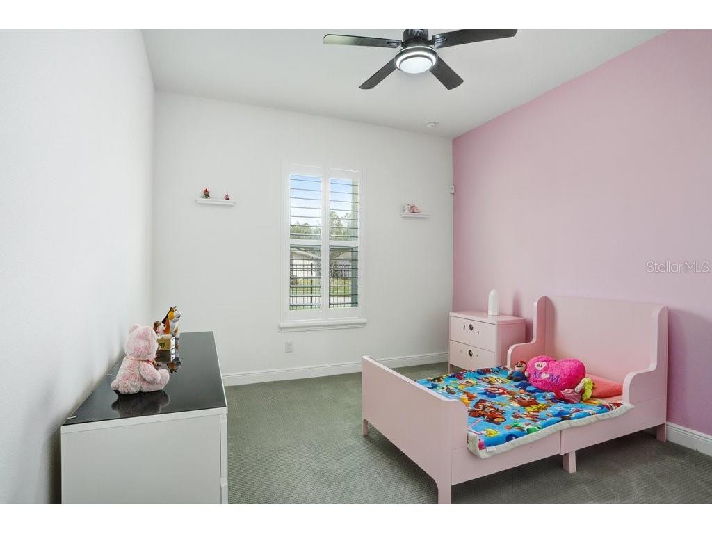16247 November Rain Court Land O Lakes FL 34638 TB8496583 image28