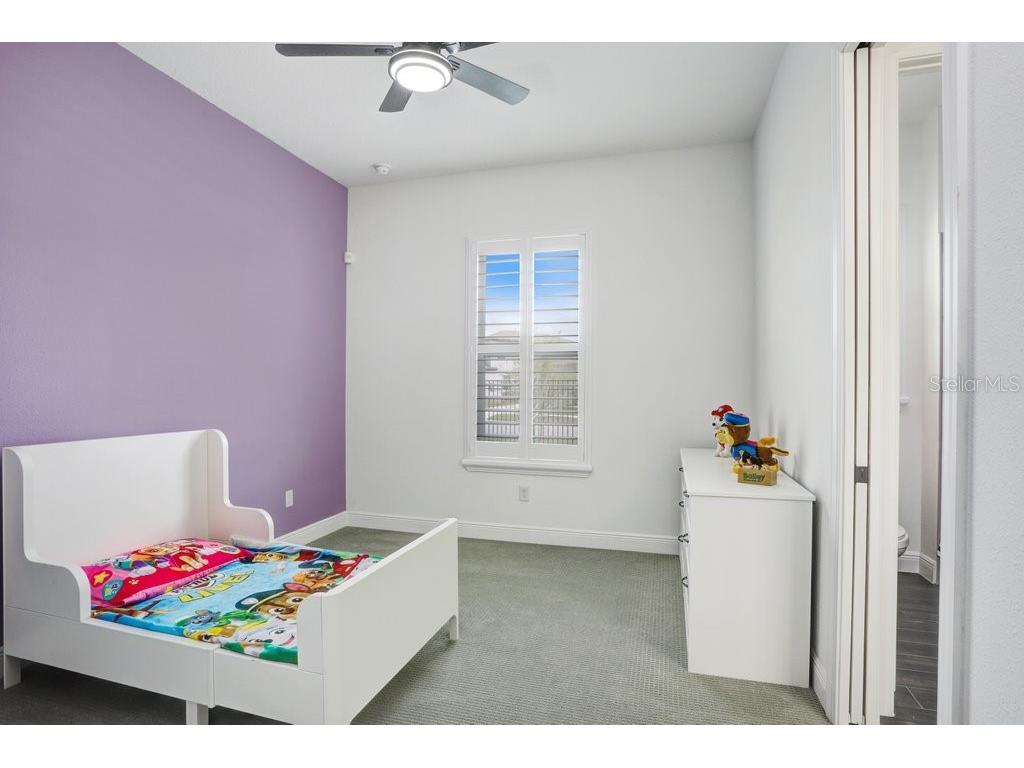 16247 November Rain Court Land O Lakes FL 34638 TB8496583 image29