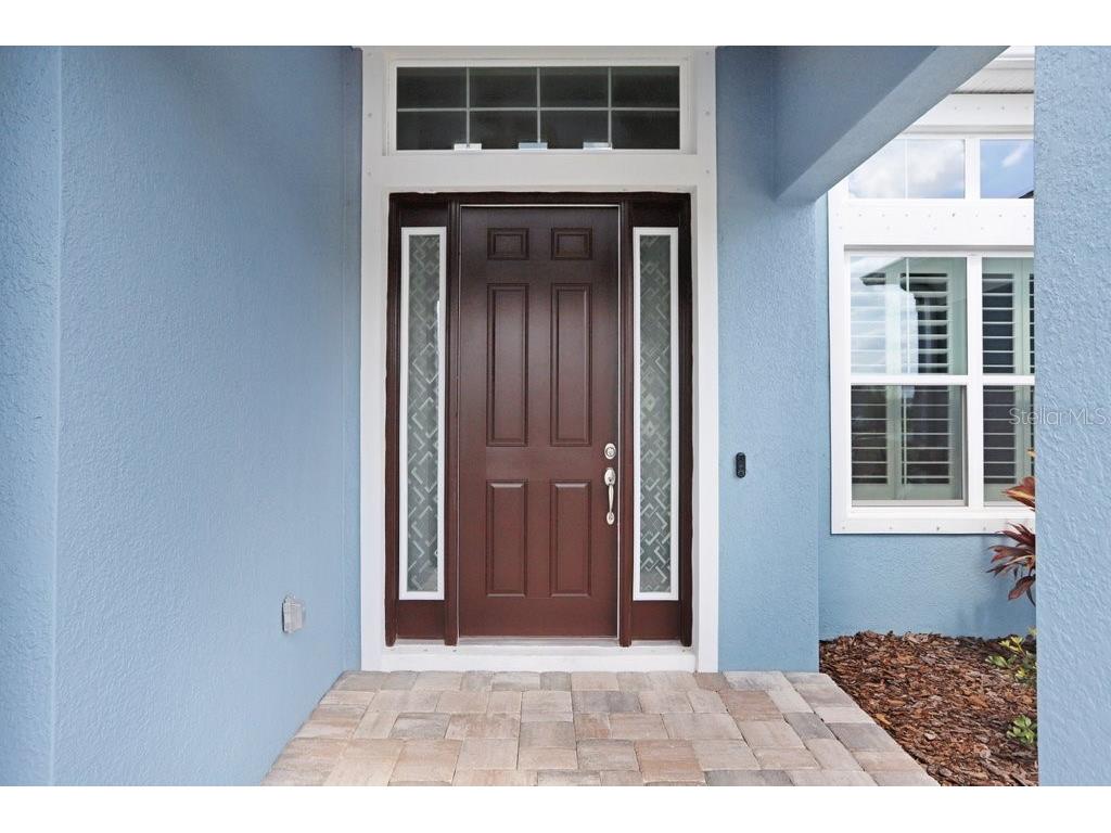 16247 November Rain Court Land O Lakes FL 34638 TB8496583 image3