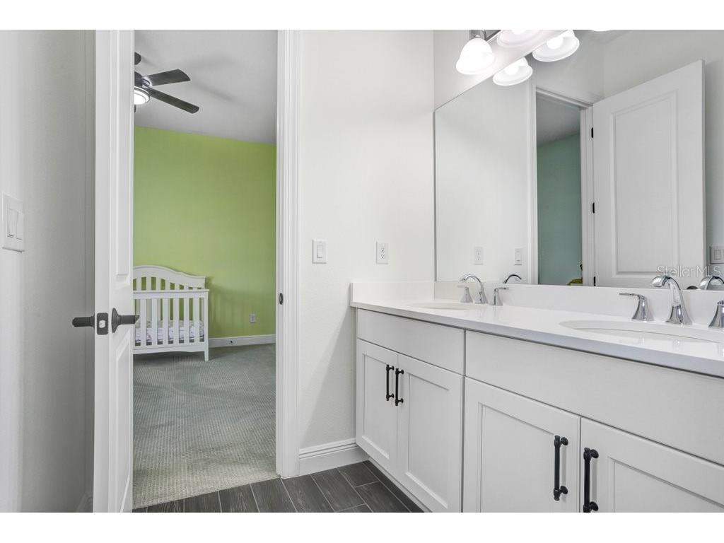 16247 November Rain Court Land O Lakes FL 34638 TB8496583 image30
