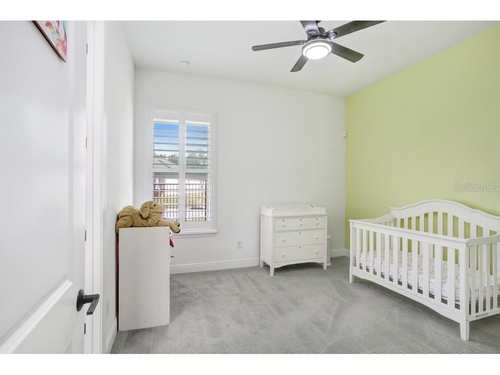 16247 November Rain Court Land O Lakes FL 34638 TB8496583 image32