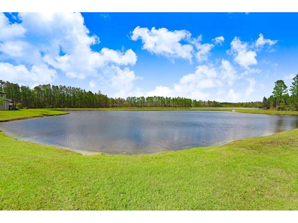 16247 November Rain Court Land O Lakes FL 34638 TB8496583 image38