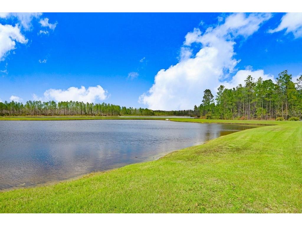 16247 November Rain Court Land O Lakes FL 34638 TB8496583 image39