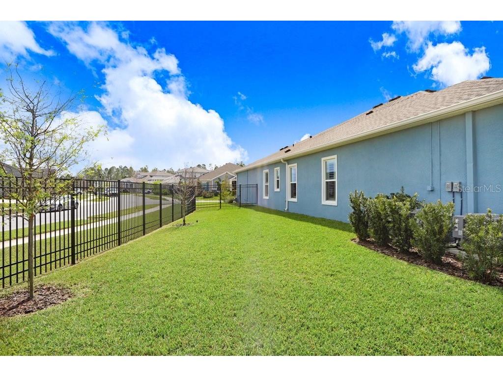 16247 November Rain Court Land O Lakes FL 34638 TB8496583 image40