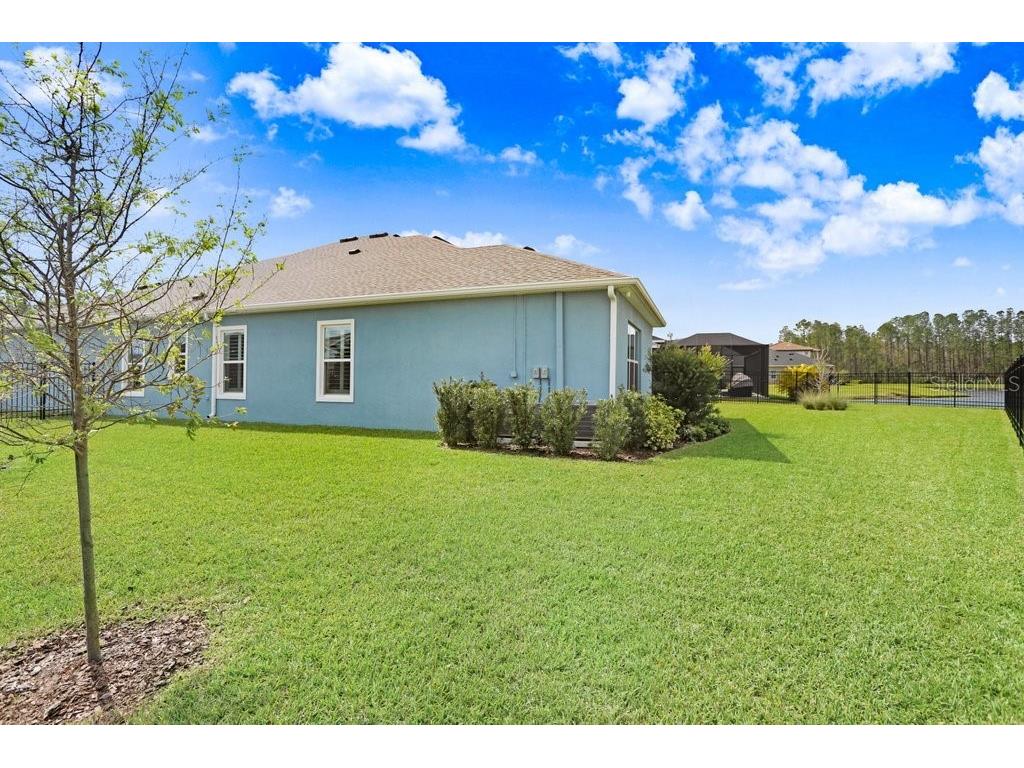 16247 November Rain Court Land O Lakes FL 34638 TB8496583 image41