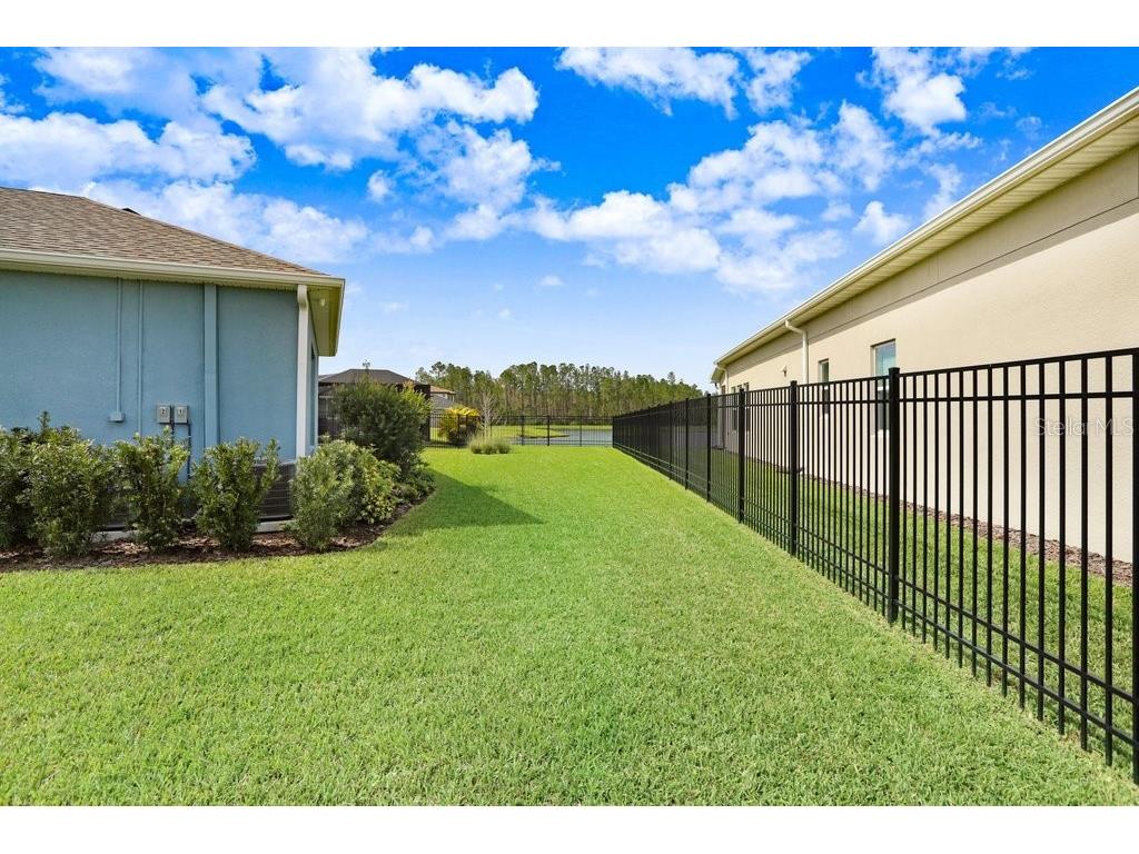 16247 November Rain Court Land O Lakes FL 34638 TB8496583 image42