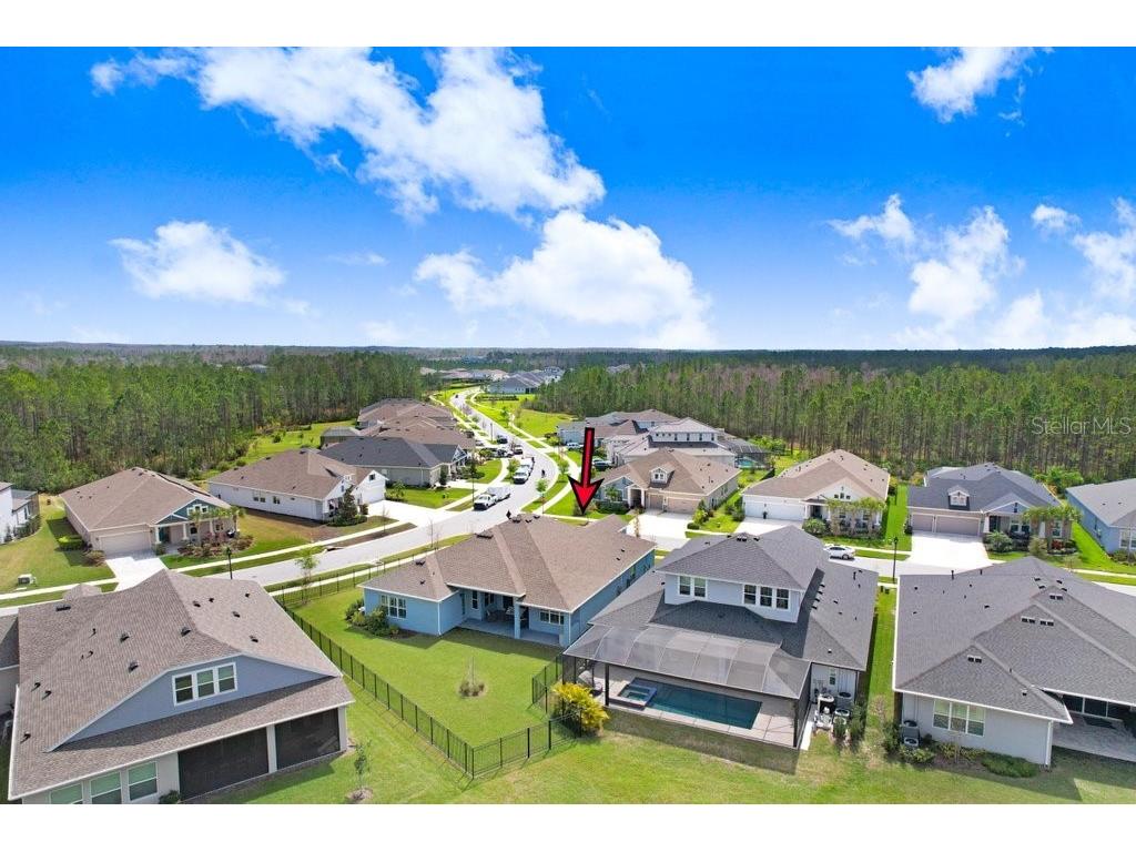 16247 November Rain Court Land O Lakes FL 34638 TB8496583 image47
