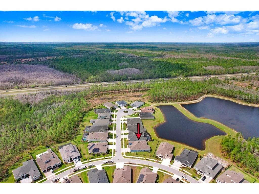 16247 November Rain Court Land O Lakes FL 34638 TB8496583 image51