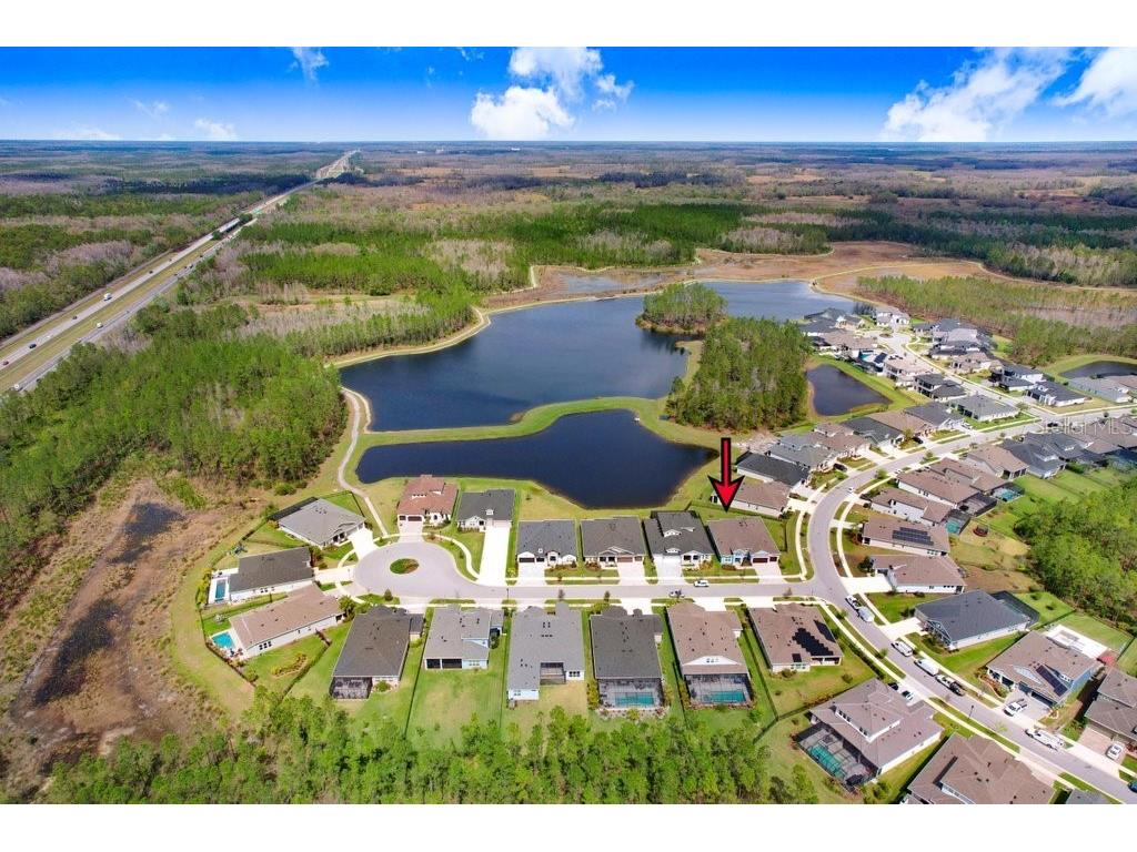 16247 November Rain Court Land O Lakes FL 34638 TB8496583 image52