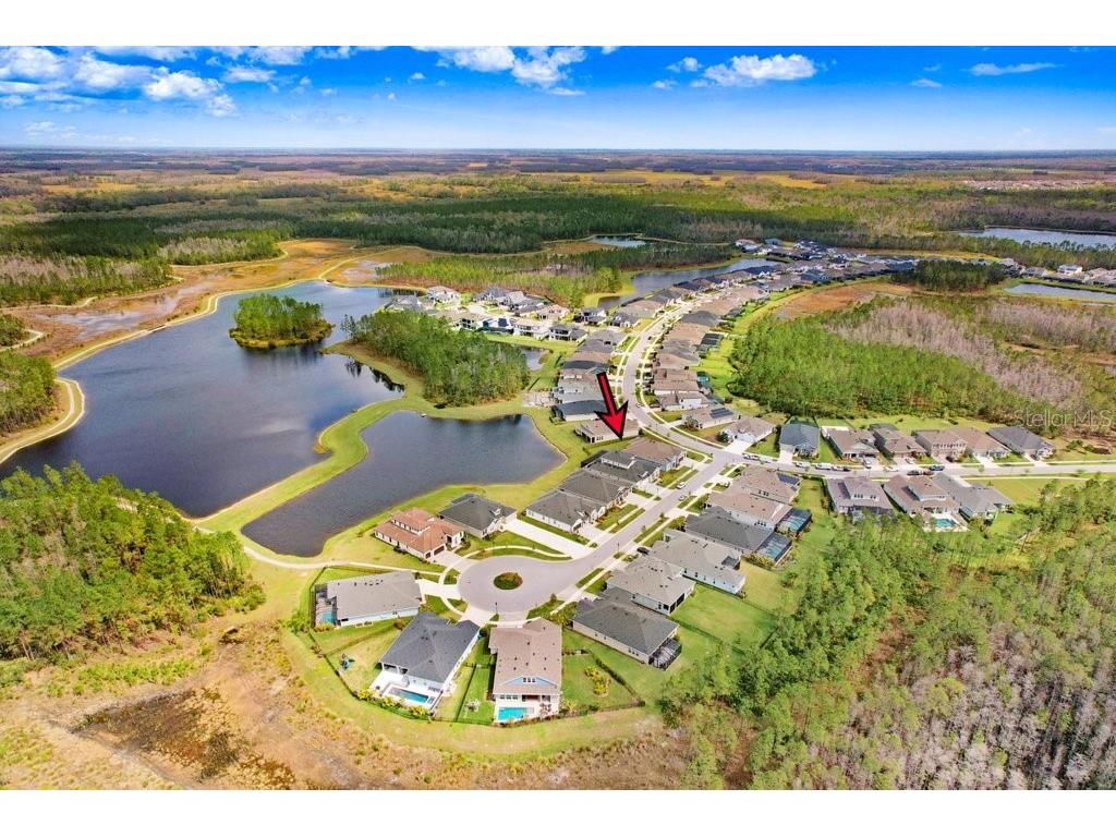 16247 November Rain Court Land O Lakes FL 34638 TB8496583 image53