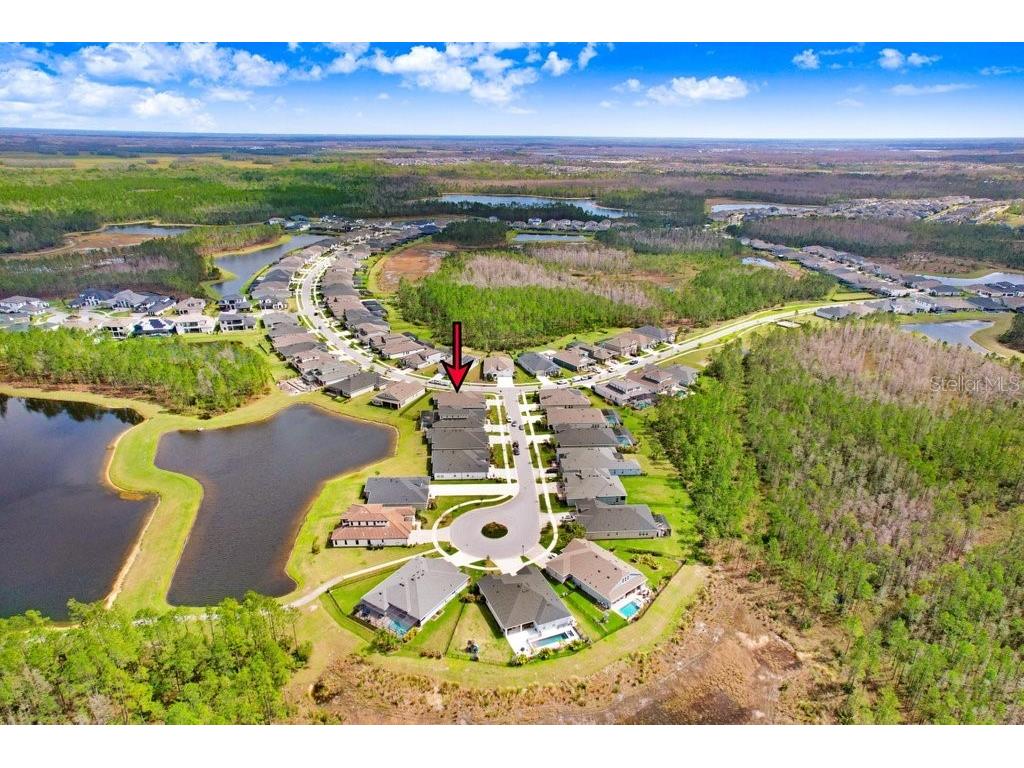 16247 November Rain Court Land O Lakes FL 34638 TB8496583 image54