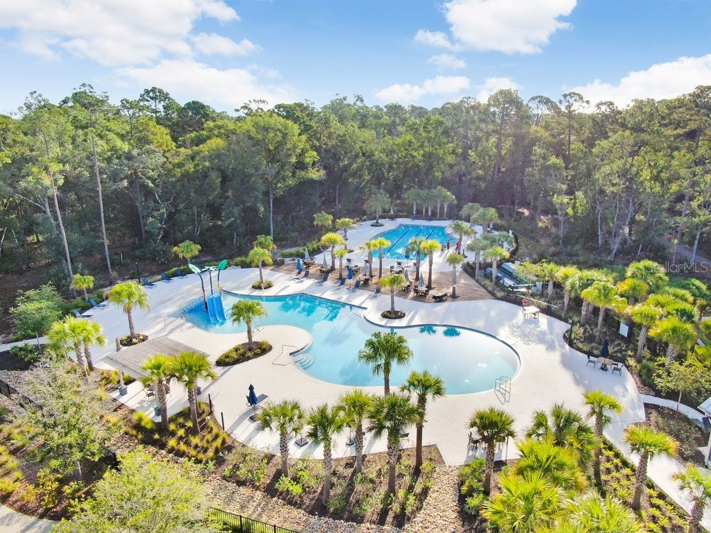 16247 November Rain Court Land O Lakes FL 34638 TB8496583 image56