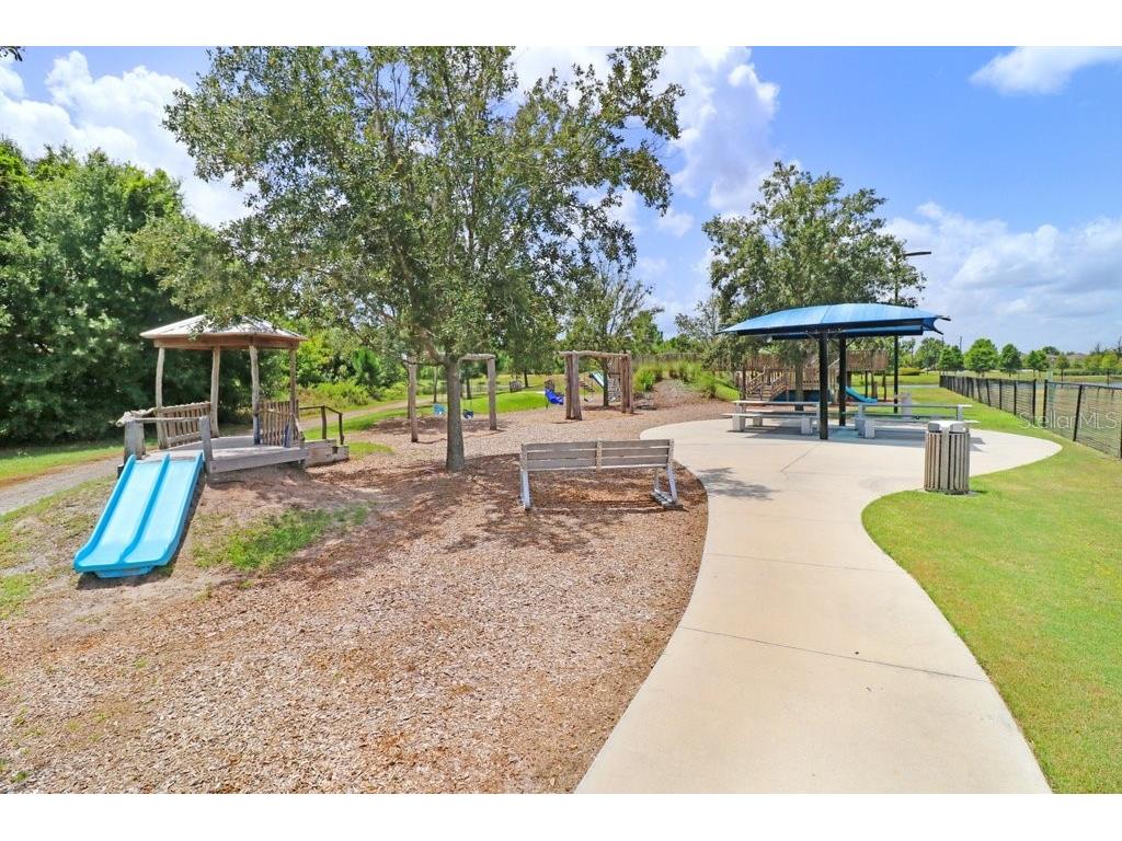 16247 November Rain Court Land O Lakes FL 34638 TB8496583 image60