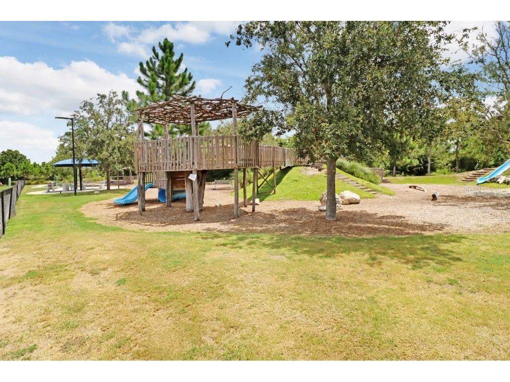 16247 November Rain Court Land O Lakes FL 34638 TB8496583 image61