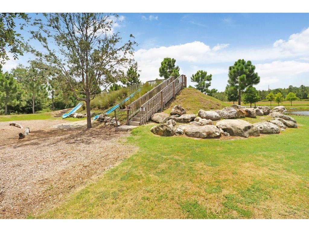 16247 November Rain Court Land O Lakes FL 34638 TB8496583 image62