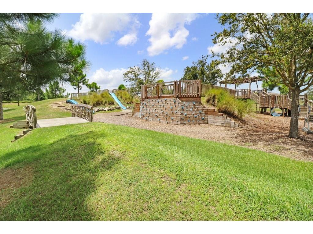 16247 November Rain Court Land O Lakes FL 34638 TB8496583 image63